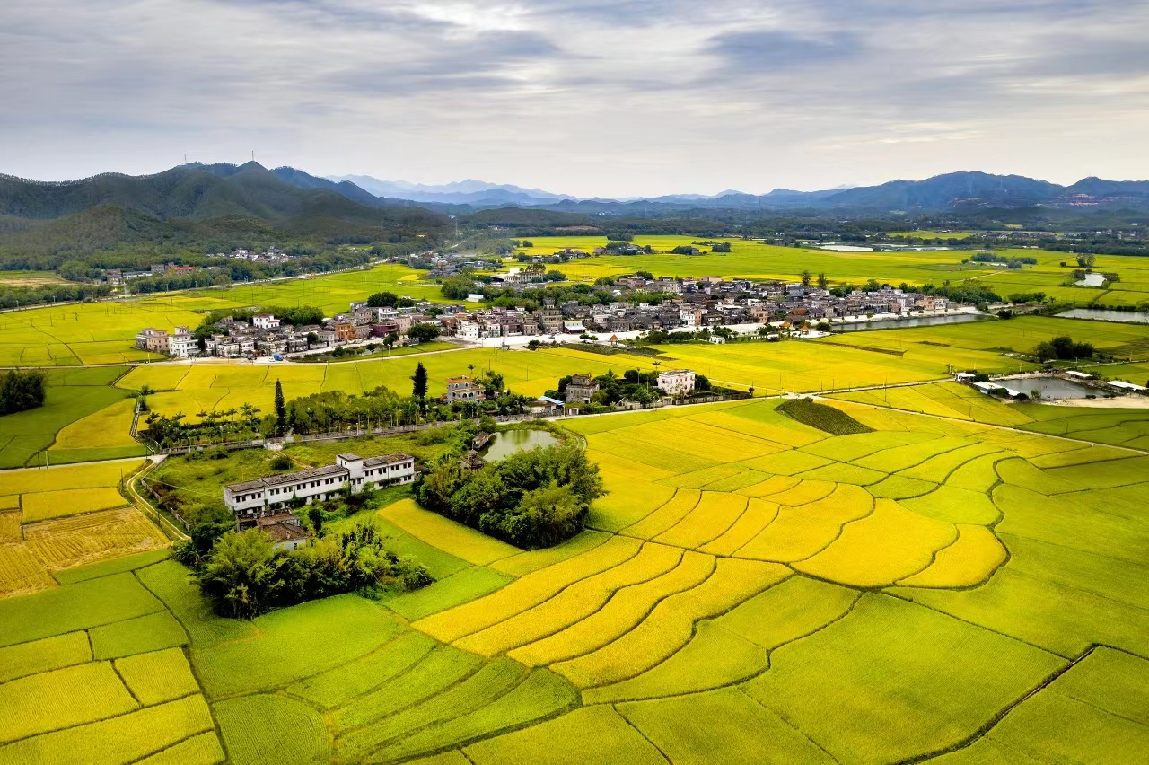 1.開(kāi)平市赤水鎮(zhèn)沙洲村村容村貌全景圖.jpg